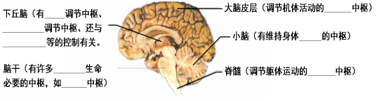 学科网(www.zxxk.com)--教育资源门户，提供试卷、教案、课件、论文、素材及各类教学资源下载，还有大量而丰富的教学相关资讯！