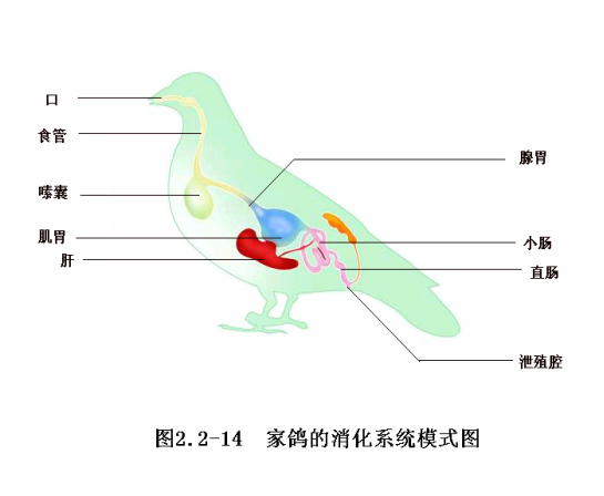 {8B884596-1446-4E66-9A7D-929AA72669A4}