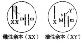 截图_20220622202839