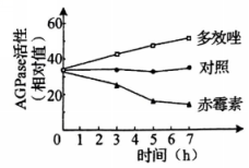 截图_20220622203010