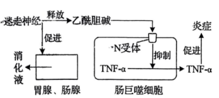 截图_20220622203238
