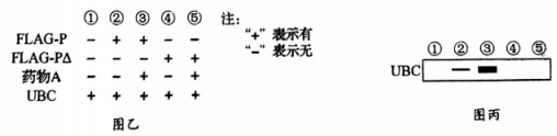 截图_20220622203421